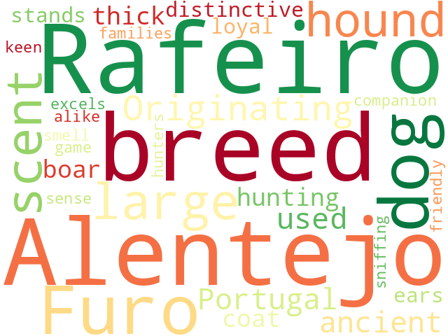 Word Cloud for rafeiro_of_alentejo