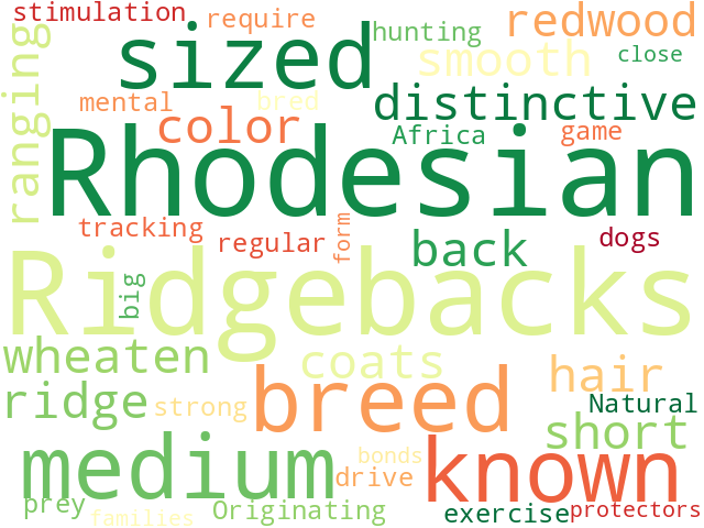 Word Cloud for rhodesian_ridgeback