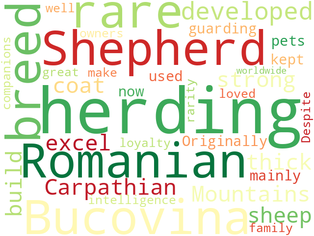 Word Cloud for romanian_bucovina_shepherd