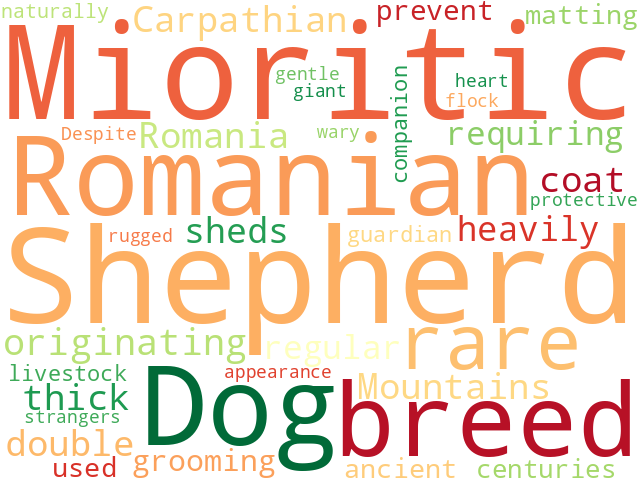 Word Cloud for romanian_mioritic_shepherd_dog