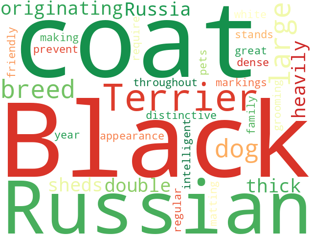 Word Cloud for russian_black_terrier