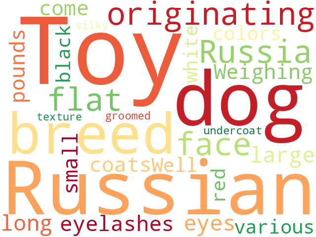 Word Cloud for russian_toy
