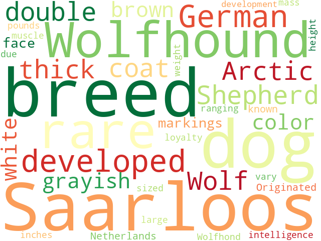 Word Cloud for saarloos_wolfhond