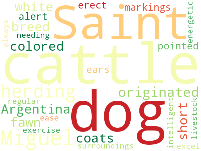 Word Cloud for saint_miguel_cattle_dog