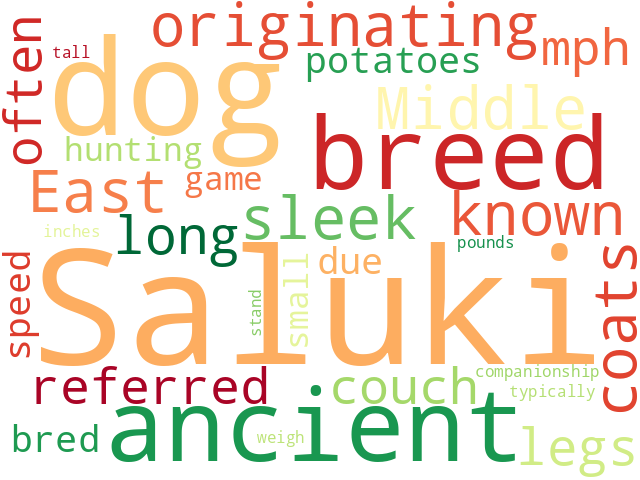 Word Cloud for saluki