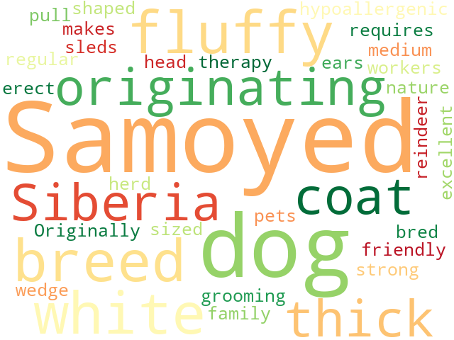 Word Cloud for samoyed