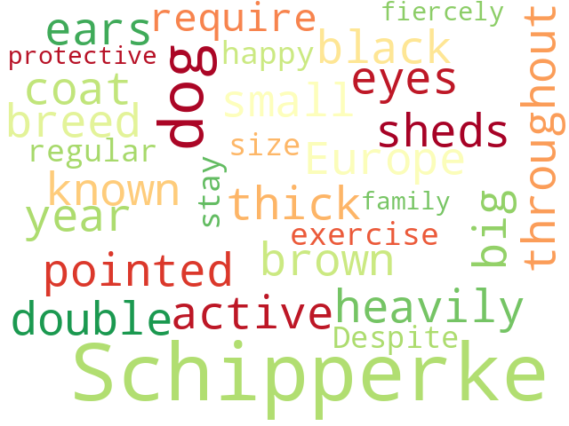 Word Cloud for schipperke
