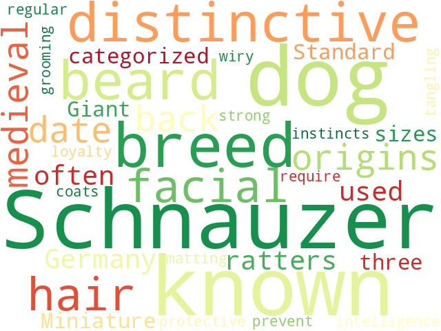 Word Cloud for schnauzer