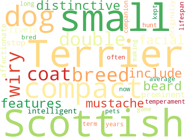 Word Cloud for scottish_terrier