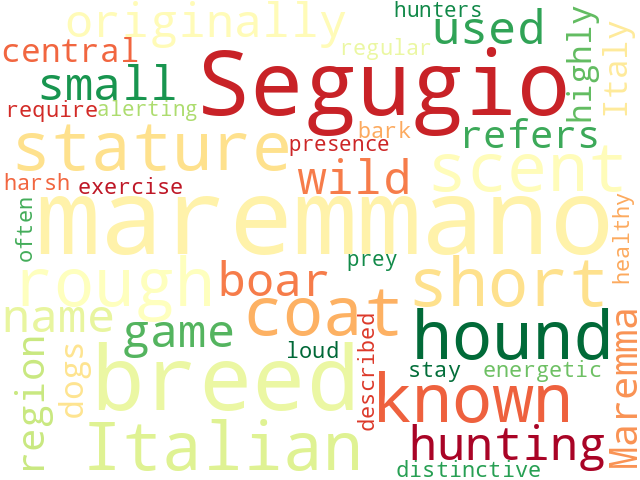 Word Cloud for segugio_maremmano