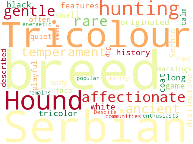 Word Cloud for serbian_tricolour_hound