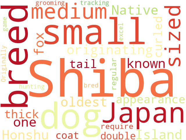 Word Cloud for shiba