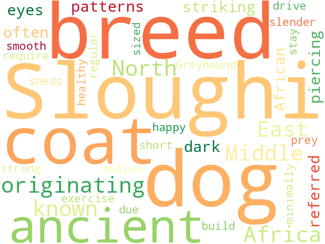 Word Cloud for sloughi
