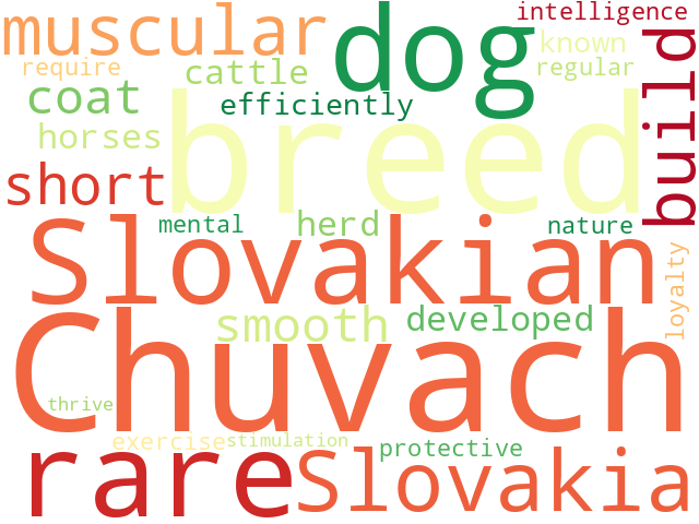 Word Cloud for slovakian_chuvach