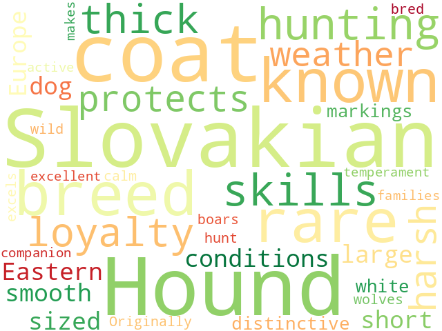 Word Cloud for slovakian_hound