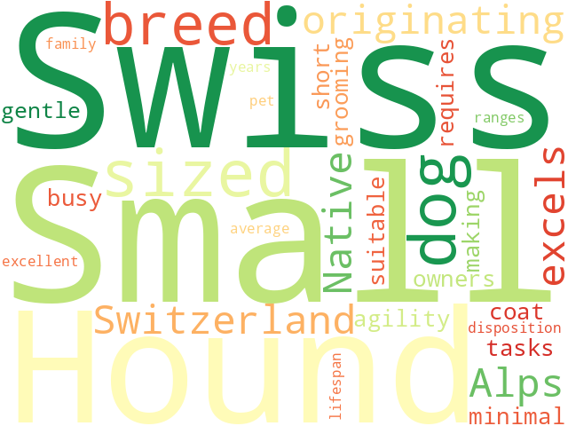 Word Cloud for small_swiss_hound