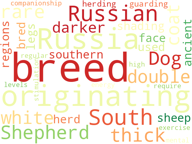 Word Cloud for south_russian_shepherd_dog