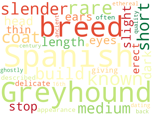 Word Cloud for spanish_greyhound