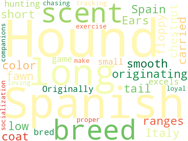 Word Cloud for spanish_hound