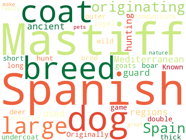 Word Cloud for spanish_mastiff