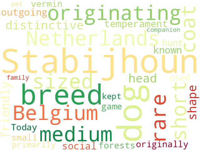Word Cloud for stabijhoun