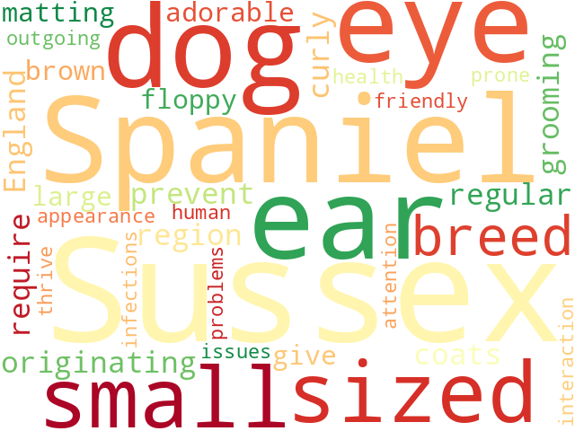 Word Cloud for sussex_spaniel