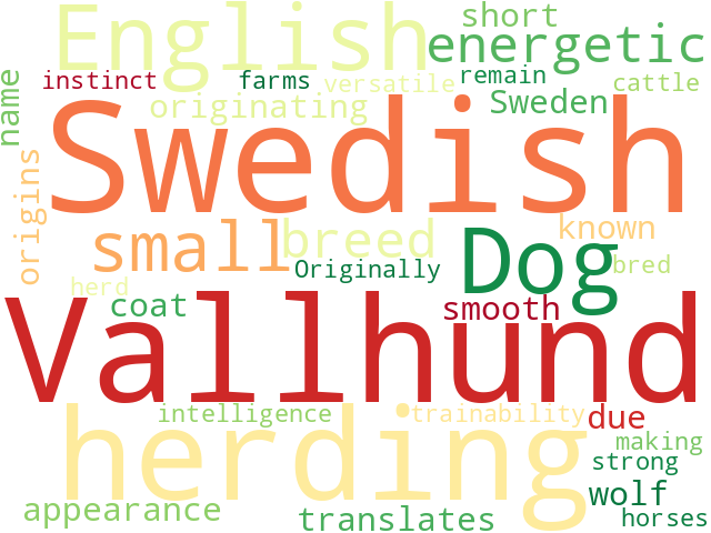 Word Cloud for swedish_vallhund