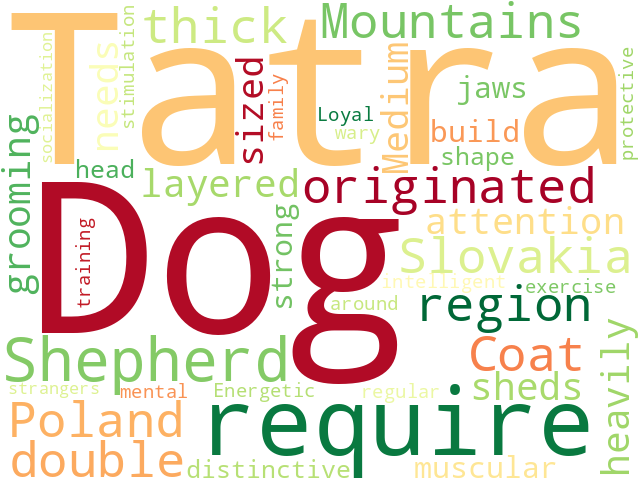 Word Cloud for tatra_shepherd_dog