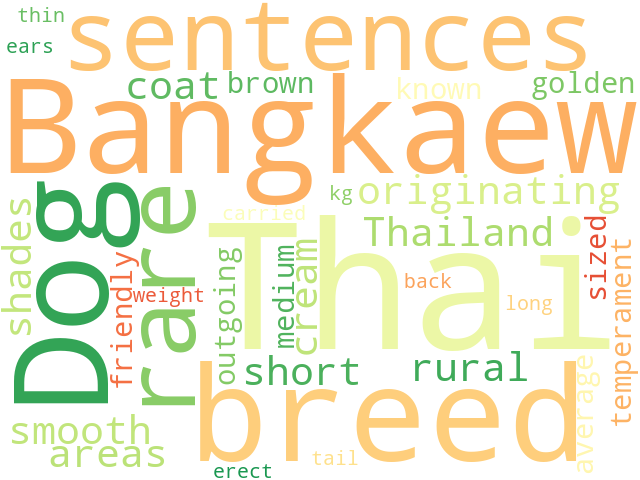 Word Cloud for thai_bangkaew_dog