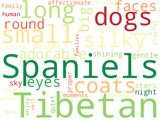 Word Cloud for tibetan_spaniel