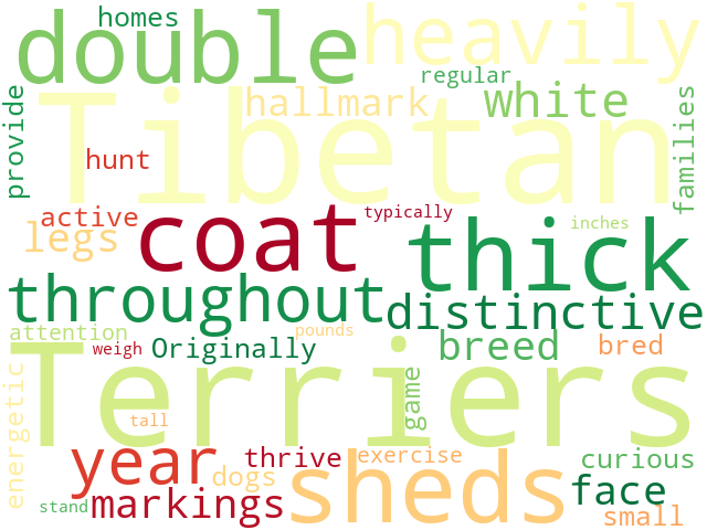 Word Cloud for tibetan_terrier