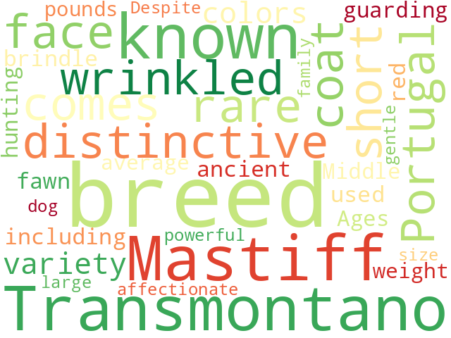 Word Cloud for transmontano_mastiff