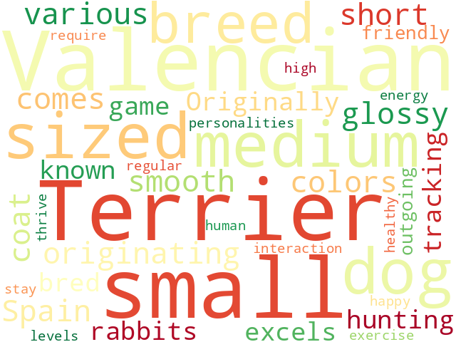 Word Cloud for valencian_terrier