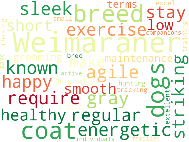 Word Cloud for weimaraner