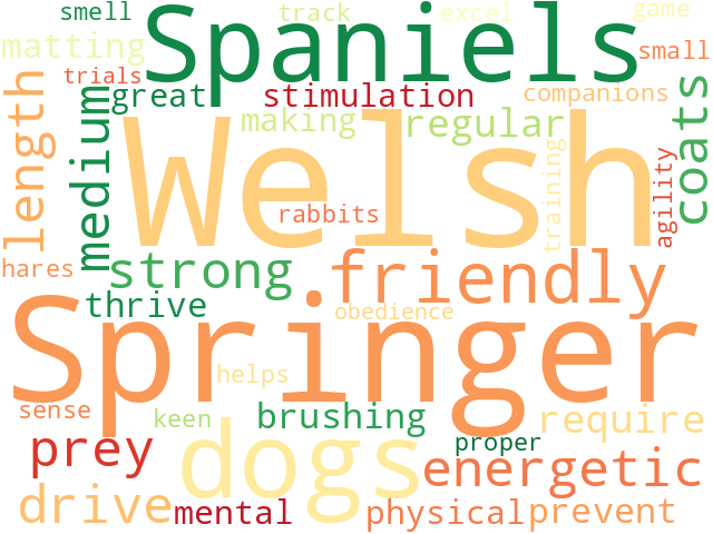 Word Cloud for welsh_springer_spaniel