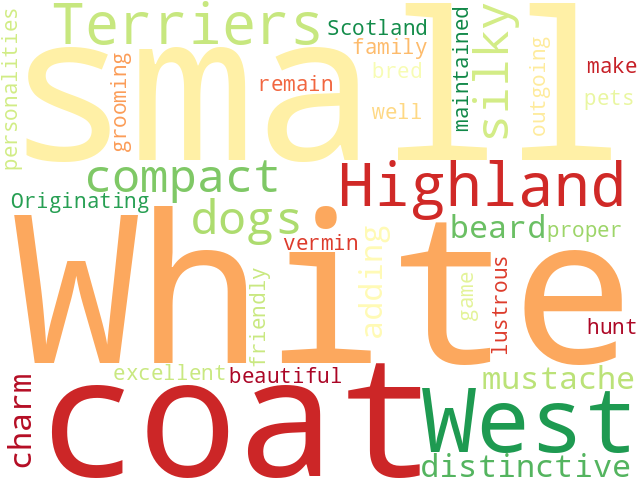 Word Cloud for west_highland_white_terrier