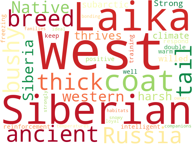 Word Cloud for west_siberian_laika