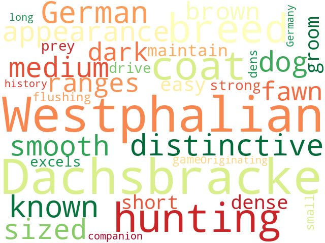Word Cloud for westphalian_dachsbracke