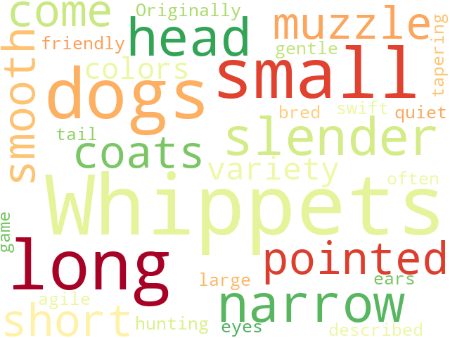 Word Cloud for whippet