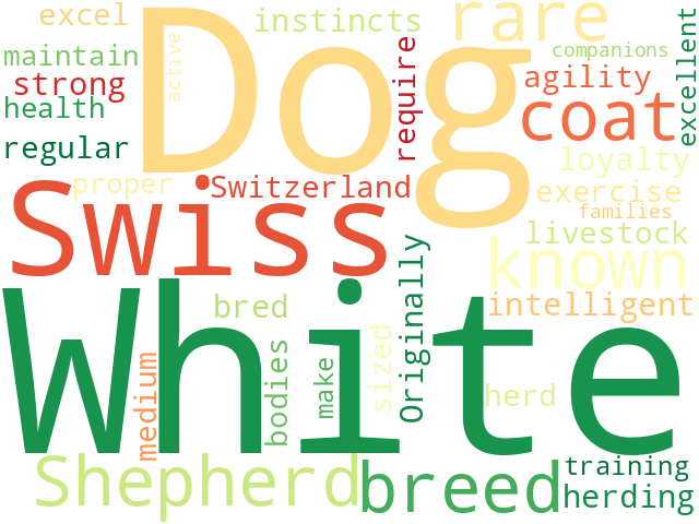 Word Cloud for white_swiss_shepherd_dog