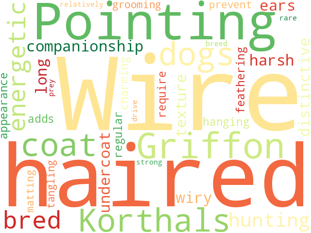 Word Cloud for wire_haired_pointing_griffon_korthals
