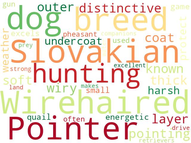 Word Cloud for wirehaired_slovakian_pointer