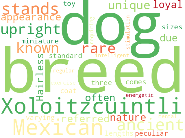 Word Cloud for xoloitzcuintle