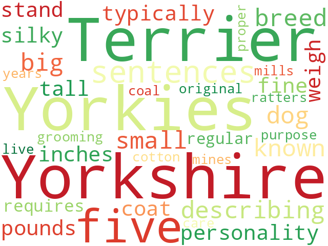 Word Cloud for yorkshire_terrier