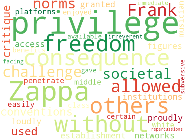 Word Cloud for privilege
