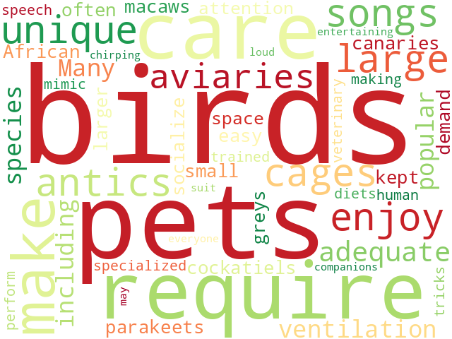 Word Cloud for bird