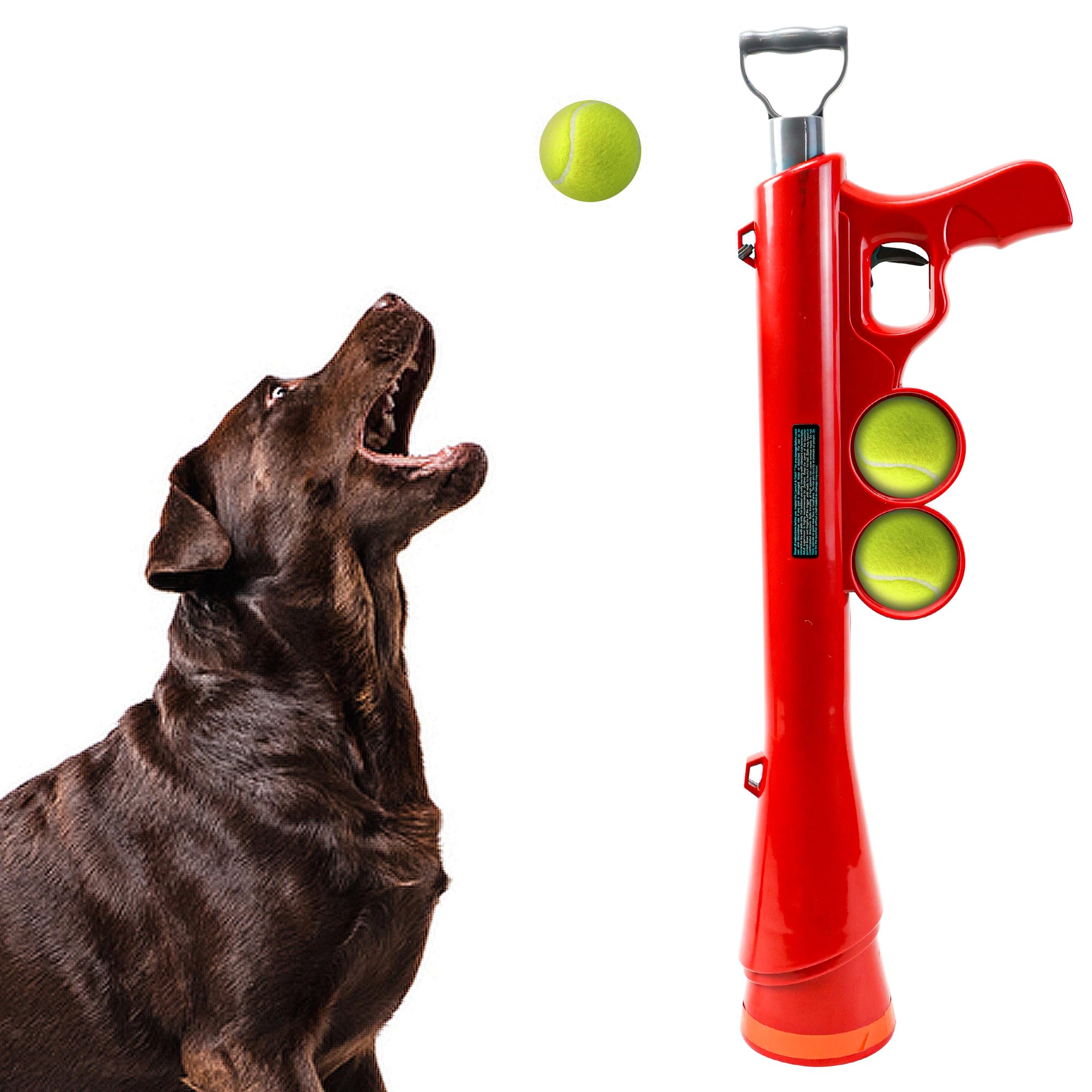 Fetch Toys