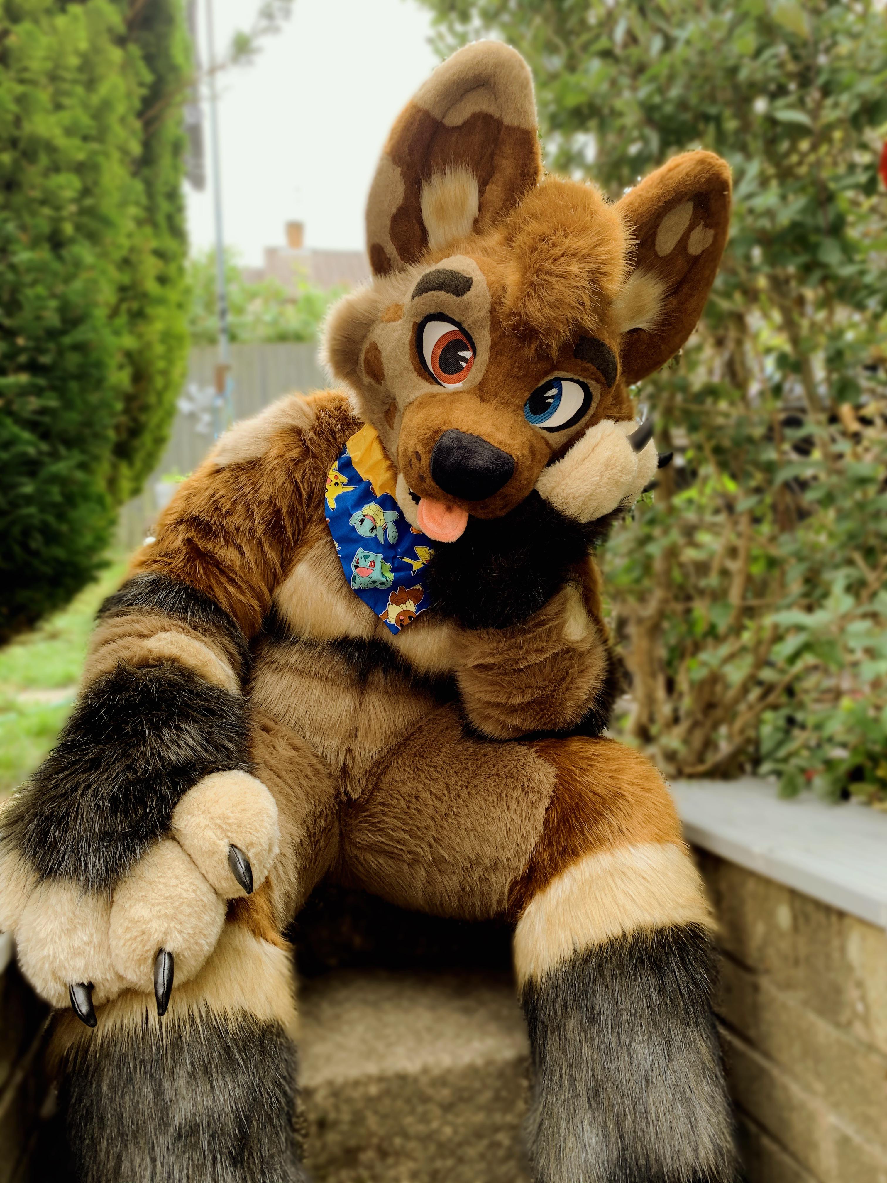 Furry
