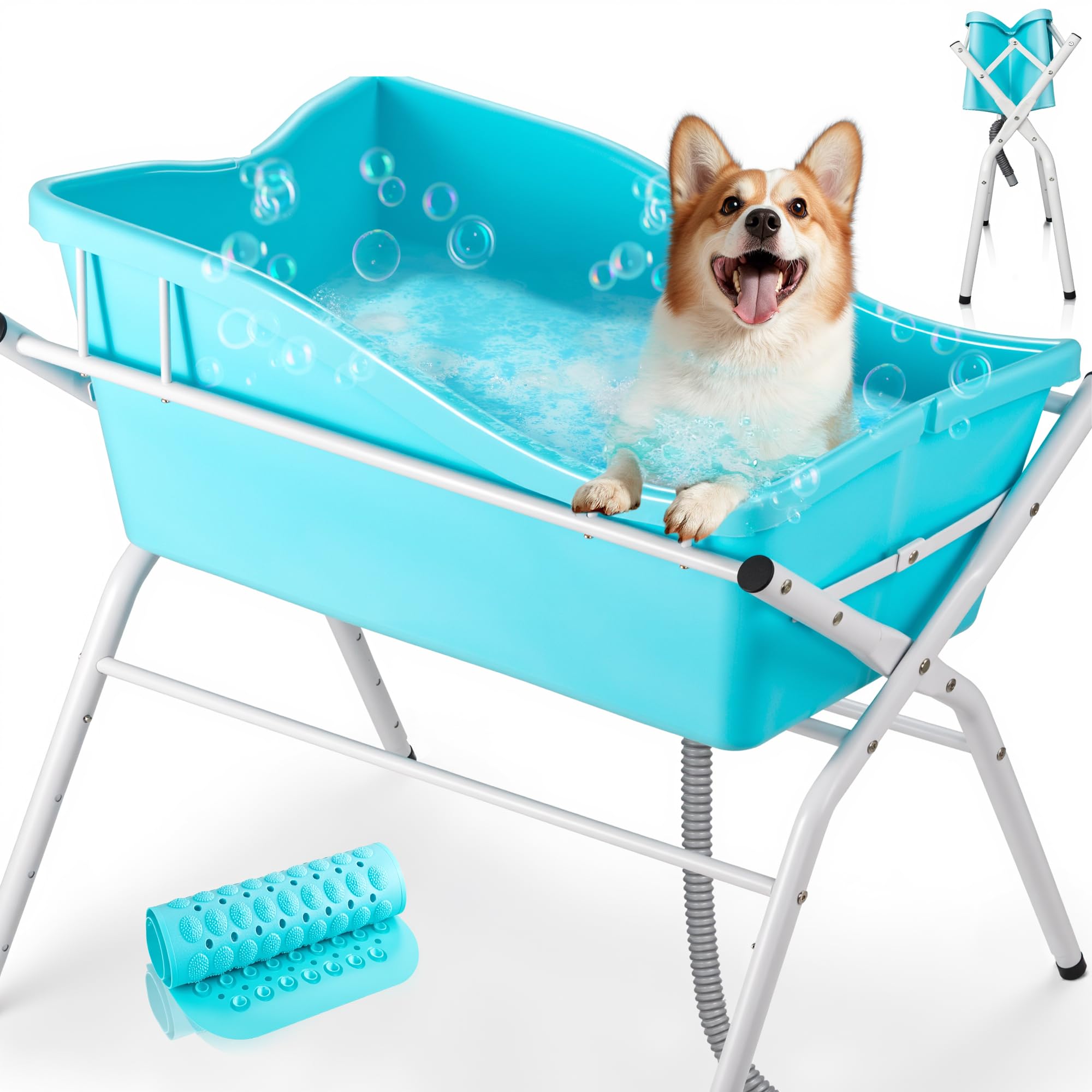 Dog Bath