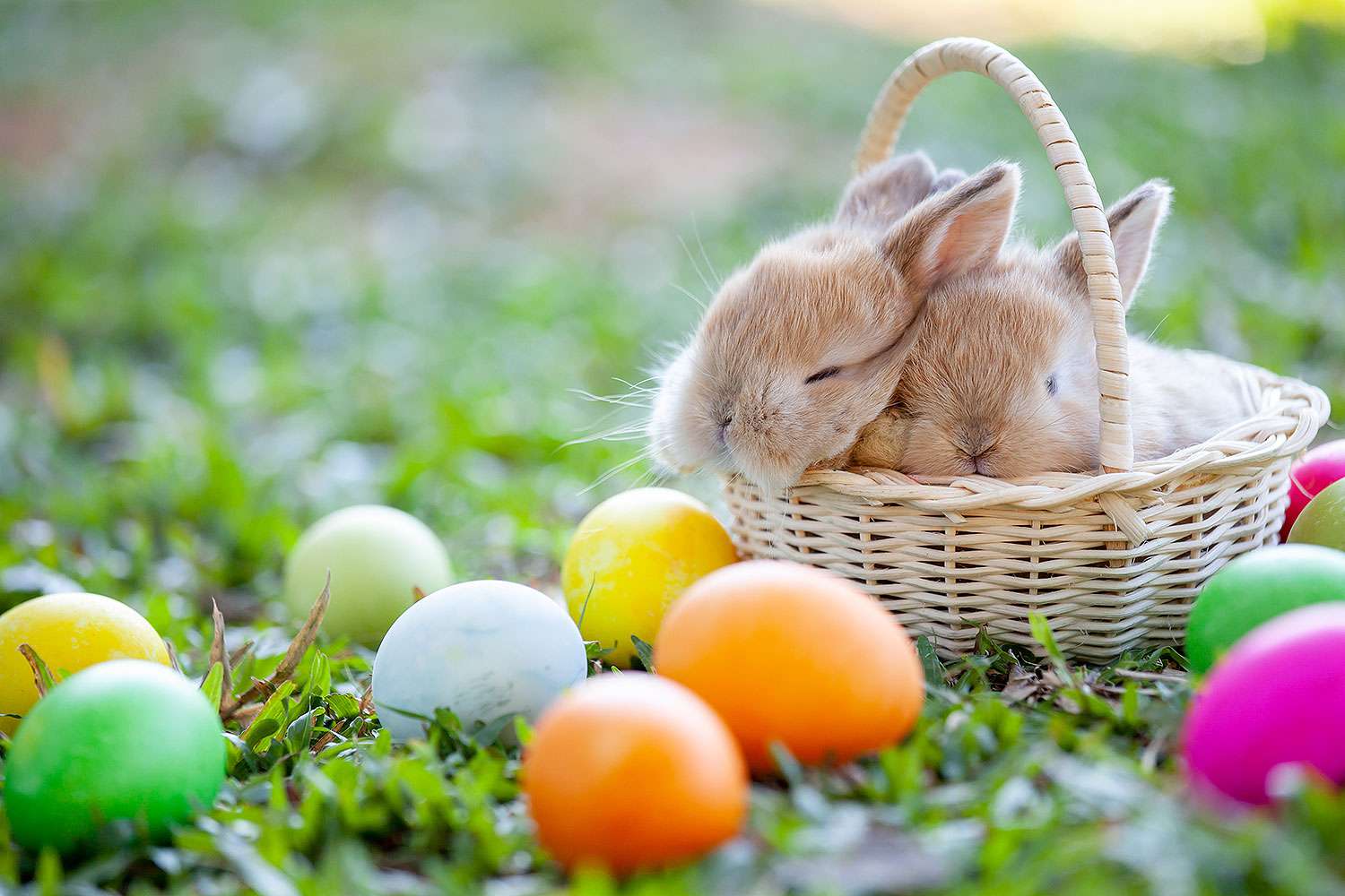 Easter